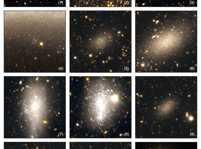 Карликовые галактики, обнаруженные при наблюдении. Три цветовых композита характеризуются изображениями HSC-g и HSC-i. Псевдо-изображение с промежуточным цветом создает из усредненного изображения изображений HSC-g и HSC-i. Верхний правый столбец (3) ранее считался карликовой галактикой из более раннего исследования, но из изображения с высоким разрешением, снятого HSC, очевидно, что наблюдалось перекрытие звезд переднего плана и фоновых галактик.