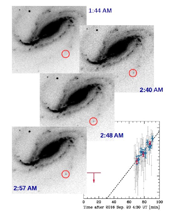 Последовательность комбинированных изображений (негативы, поэтому черные соответствия ярким), полученные Виктором Бусо, поскольку SN 2016gkg появляется и осветляется на окраинах спиральной галактики NGC 613. Ярлыки показывают время, в которое были сделаны каждое изображение. Объект постоянно осветляется примерно на 25 минут, как показано количественно на нижней панели.
