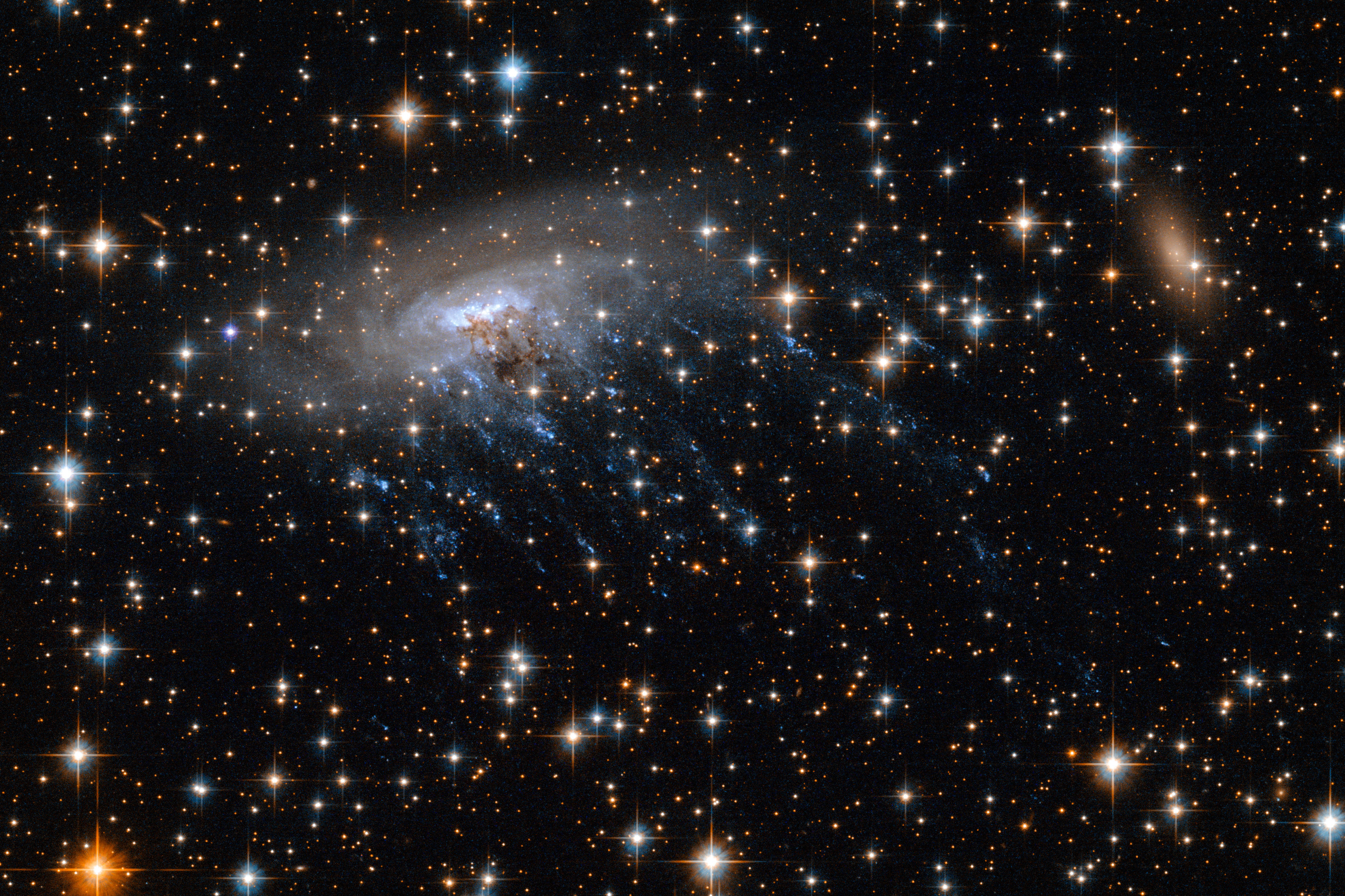 Галактика, разрываемая мощной гравитацией Великого Аттрактора