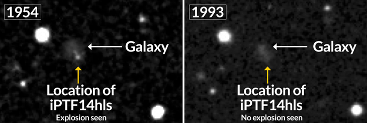 Исторические данные из Паломарской обсерватории показали яркий взрыв в 1954 году в той же точке неба, что и iPTF14hls (слева). В 1993 году взрыв исчез (справа).