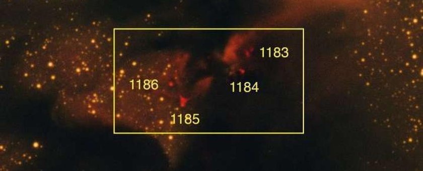 Астрономы идентифицируют двенадцать новых объектов Хербига-Аро в темной туманности LDN 673