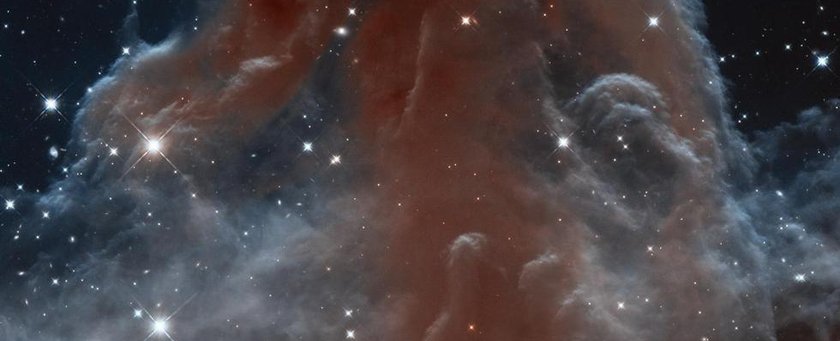 Туманность Конская Голова, она же IC 434 (1500х1567)